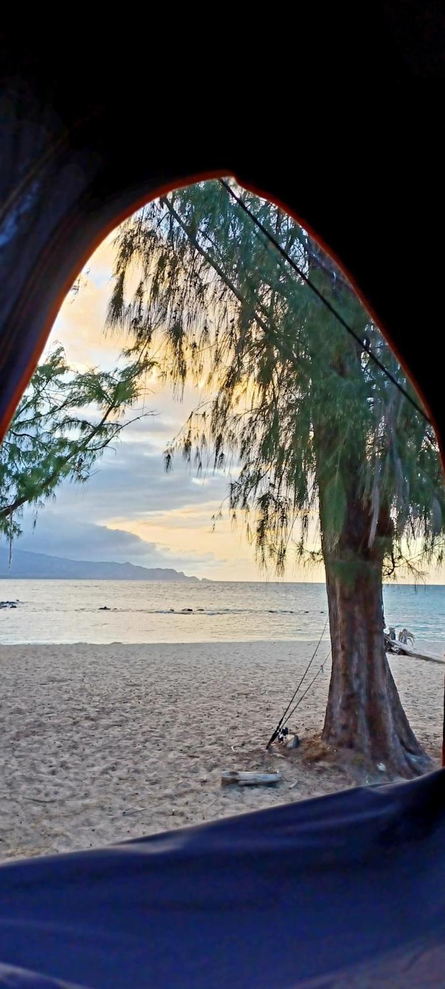 Campcar Maui Jeeps Suvs Hybrid Camper Van Rentals With Equipment And Travel Advice Кахулуи Экстерьер фото